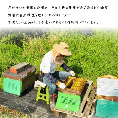 【しものせきの百花和蜜】はちみつ ニホンミツバチはちみつ 180g NB001