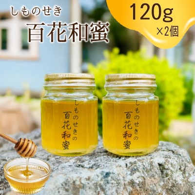 【しものせきの百花和蜜】 はちみつ ニホンミツバチはちみつ 240g 120g✕2個 NB002