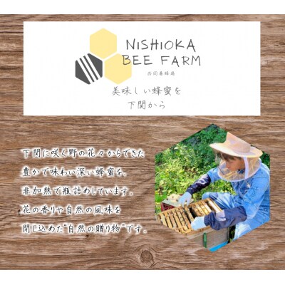 国産はちみつ3種 食べ比べ 50g×3本 計150g NB004