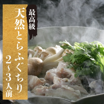 【期間限定】とらふぐ ちり セット 天然 冷蔵 2~3人前 ふぐ鍋 CD405
