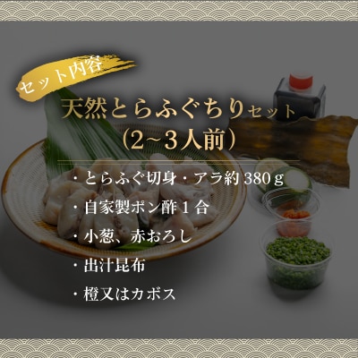 【期間限定】とらふぐ ちり セット 天然 冷蔵 2~3人前 ふぐ鍋 CD405