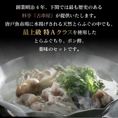 【期間限定】とらふぐ ちり セット 天然 冷蔵 2~3人前 ふぐ鍋 CD405