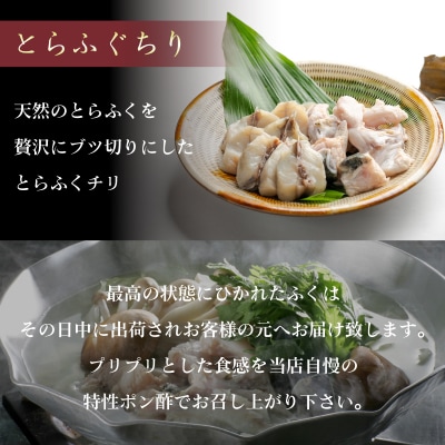 【期間限定】とらふぐ ちり セット 天然 冷蔵 2~3人前 ふぐ鍋 CD405