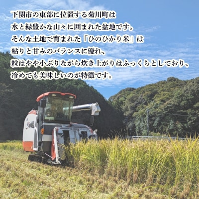 ひのひかり 10kg 米 下関 LO002