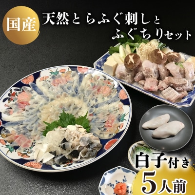 ふぐ 刺身 ちり 白子 セット 天然 とらふぐ 冷蔵 5人前【 期間限定 】JA001