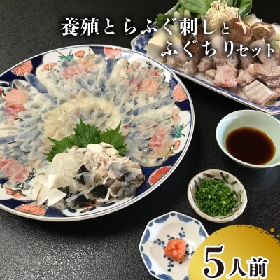ふぐ 刺身 ちり セット 養殖 とらふぐ 冷蔵 5人前 【 期間限定 】JA011