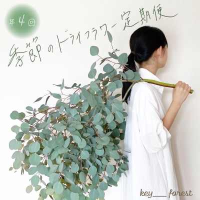 【定期便4回】 季節の草木花のスワッグ リース HO004