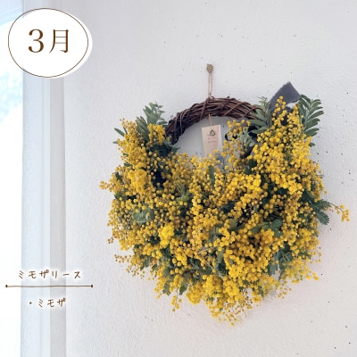 【定期便4回】 季節の草木花のスワッグ リース HO004