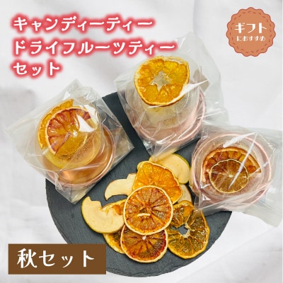 紅茶 セット ギフト フルーツティ ドライフルーツ LL003