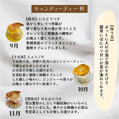 紅茶 セット ギフト フルーツティ ドライフルーツ LL003