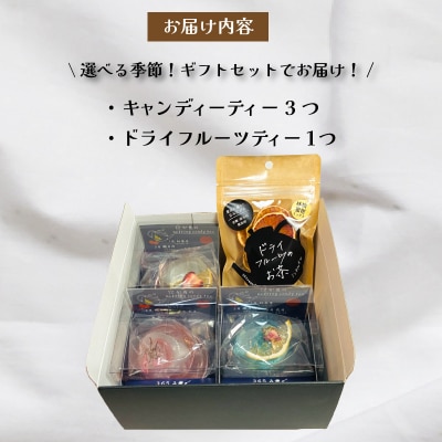 紅茶 セット ギフト フルーツティ ドライフルーツ LL004