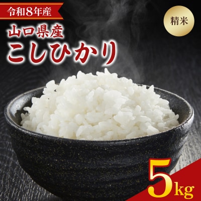 【先行予約】 令和8年産 こしひかり 5kg 山口県 下関市産 MD002