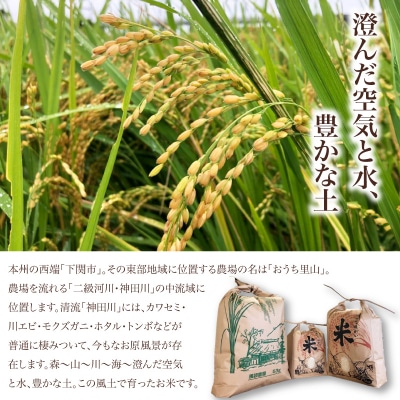 【先行予約】 令和8年産 こしひかり 5kg 山口県 下関市産 MD002