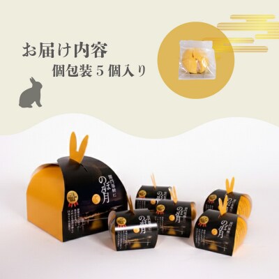 関門海峡にのぼる月 下関名菓 名菓 和菓子 スイーツ BD210