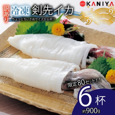 訳あり イカ 剣先イカ 約 900g 数量限定 冷凍 KNY-KE02