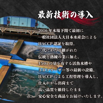 【お届け指定日必須】 とらふぐ料理セット 5～6人前 冷蔵 ID019