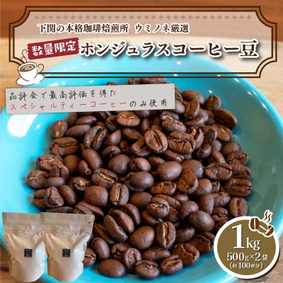 【豆】 訳あり コーヒー豆 800g ( 400g × 2袋 ) 数量限定 EW153-A