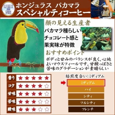 【豆】 訳あり コーヒー豆 800g ( 400g × 2袋 ) 数量限定 EW153-A