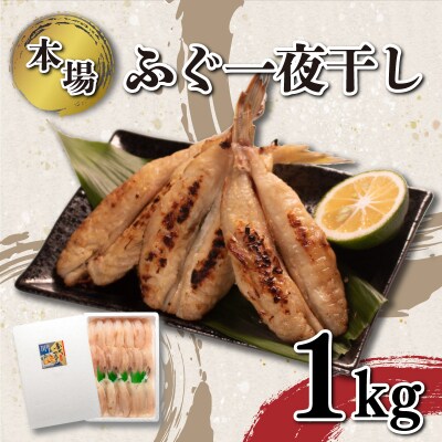 ふぐ 一夜干し 1kg 冷凍 下関 《海(かい):KA》 KA3017-x