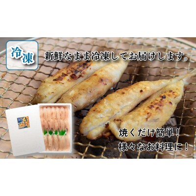 ふぐ 一夜干し 1kg 冷凍 下関 《海(かい):KA》 KA3017-x