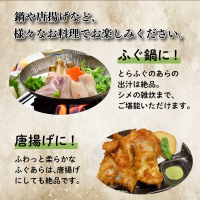 国産とらふぐあらセット 500g 冷凍 下関 《海(かい):KA》 KA5002