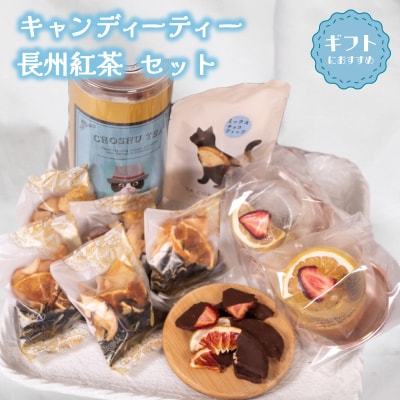 キャンディーティー 長州 紅茶 セット ドライフルーツ ギフト プレゼント LL005
