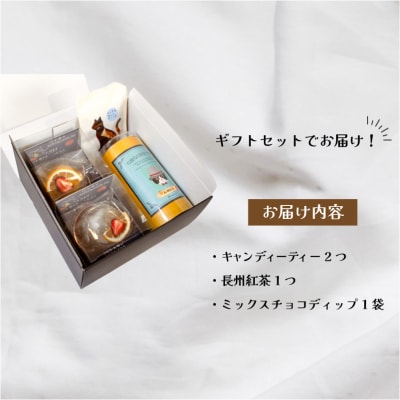 キャンディーティー 長州 紅茶 セット ドライフルーツ ギフト プレゼント LL005