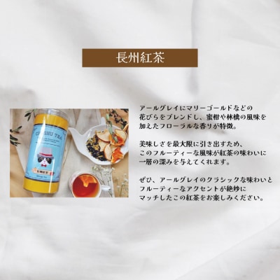 キャンディーティー 長州 紅茶 セット ドライフルーツ ギフト プレゼント LL005