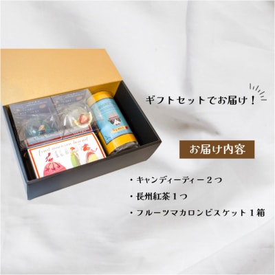 キャンディーティー マカロン 長州紅茶 セット ドライフルーツ LL006