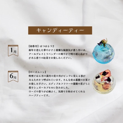 キャンディーティー マカロン 長州紅茶 セット ドライフルーツ LL006