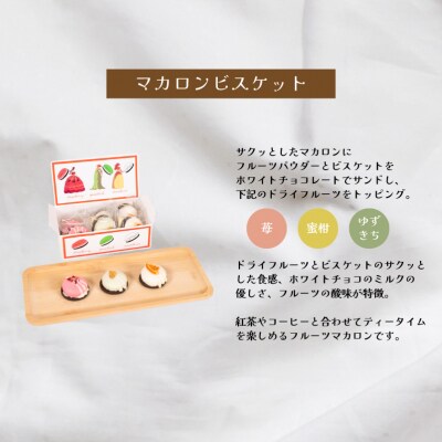 キャンディーティー マカロン 長州紅茶 セット ドライフルーツ LL006