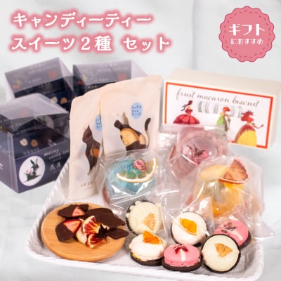 キャンディーティー スイーツ 2種 セット ドライフルーツ マカロン ビスケット チョコ LL007