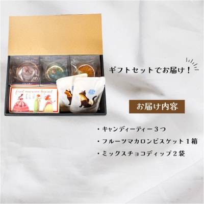 キャンディーティー スイーツ 2種 セット ドライフルーツ マカロン ビスケット チョコ LL007