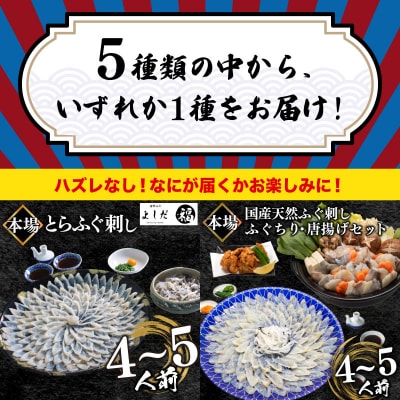 ふぐガチャ 冷凍 期間限定 数量限定 ふぐ 福袋 BV027