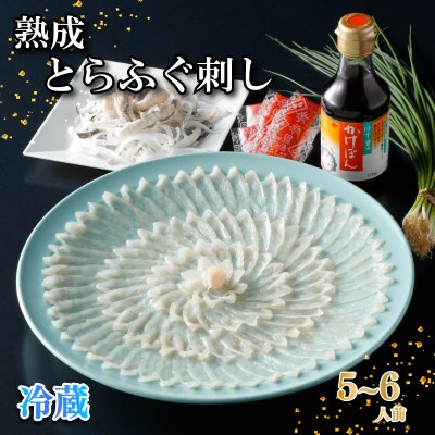 熟成 とらふぐ刺し 5～6人前 ふぐ 刺身 冷蔵 【配送指定日必須】 NE004