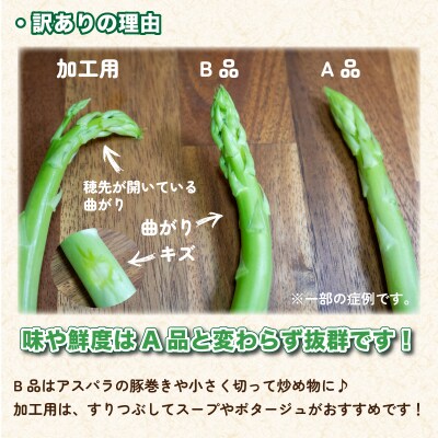 【7-8月発送】 訳あり アスパラガス B品 1.2g 朝採れ L~2L 下関 山口 FS108