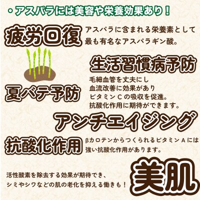 【7-8月発送】 訳あり アスパラガス B品 600g 朝採れ S 下関 山口 FS109