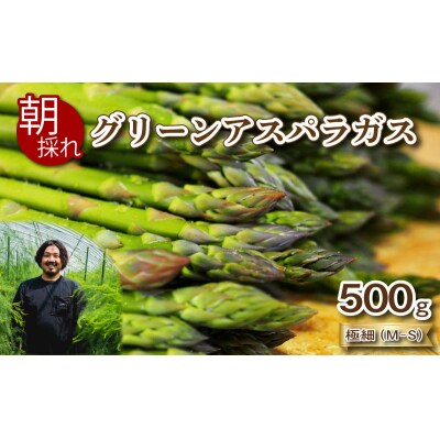 【6-7月発送】 アスパラガス 500g 極細サイズ 朝採れ 訳あり M~S 下関 山口 FS101