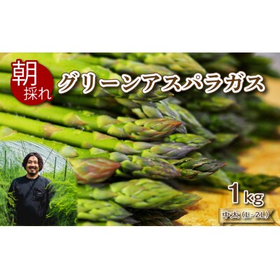 【6-7月発送】 アスパラガス 1kg 中太サイズ 朝採れ 訳あり L~2L 下関 山口 FS103