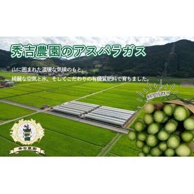 【6-7月発送】 アスパラガス 1kg 中太サイズ 朝採れ 訳あり L~2L 下関 山口 FS103