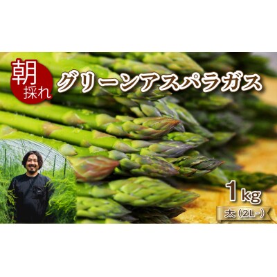 【6-7月発送】 アスパラガス 1kg 太サイズ 朝採れ 訳あり 2L~ 下関 山口 FS105