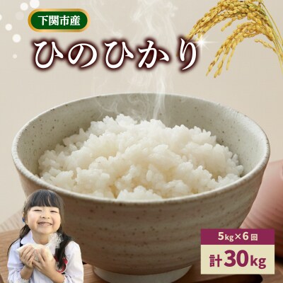 【定期便 6ヶ月】米 ひのひかり 5kg 下関 山口 LO001