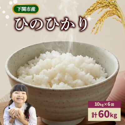 【定期便 6ヶ月】米 ひのひかり 10kg 下関 山口 LO002
