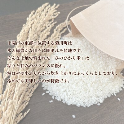【定期便 6ヶ月】米 ひのひかり 10kg 下関 山口 LO002