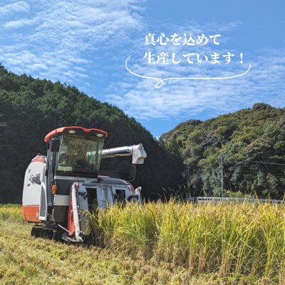 【定期便 6ヶ月】米 ひのひかり 10kg 下関 山口 LO002
