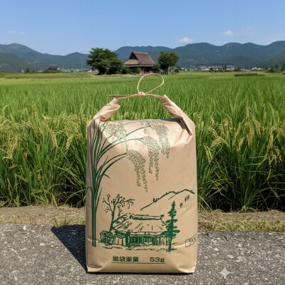 【定期便 6ヶ月】米 ひのひかり 10kg 下関 山口 LO002