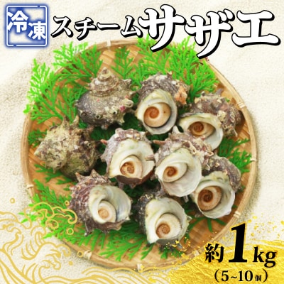 冷凍スチーム サザエ 5～10個 冷凍 下関 山口 《さわ水産:SW》 SW-SZ002