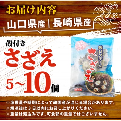 冷凍スチーム サザエ 5～10個 冷凍 下関 山口 《さわ水産:SW》 SW-SZ002