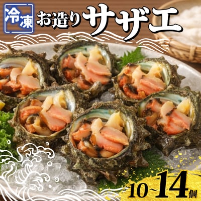 冷凍 お造り サザエ 10～14個 冷凍 下関 山口 《さわ水産:SW》 SW-SZ003