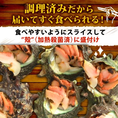 冷凍 お造り サザエ 10～14個 冷凍 下関 山口 《さわ水産:SW》 SW-SZ003